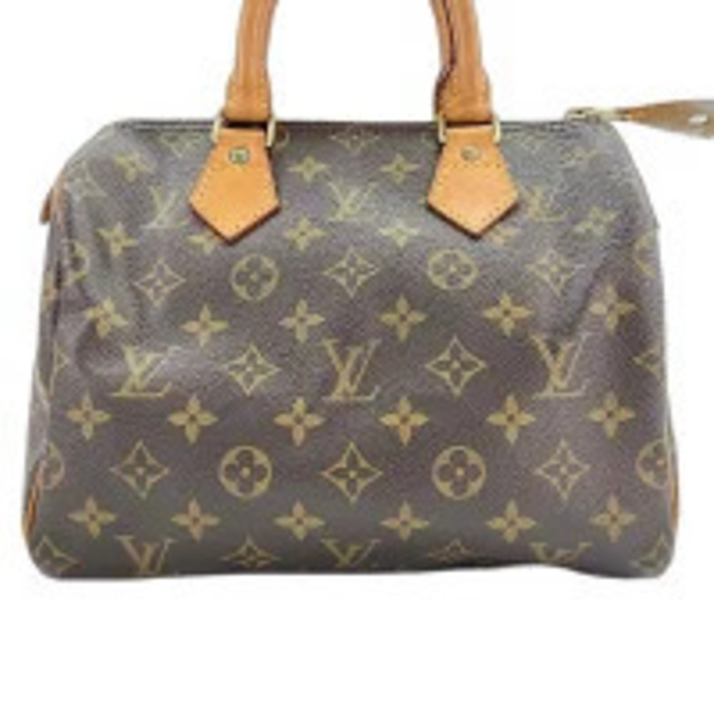 Louis Vuitton Speedy Handbag Brown